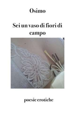 Sei vaso fiori di - di, campo